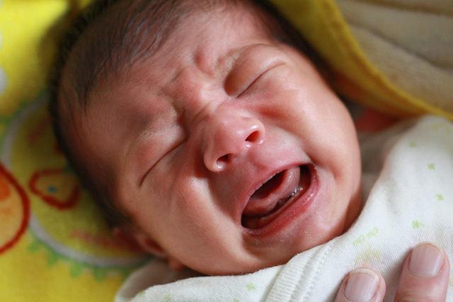 5029065863_a586e8bfdc_z